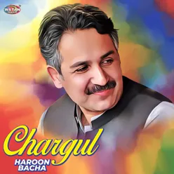 Chargul