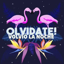 Volvió la Noche