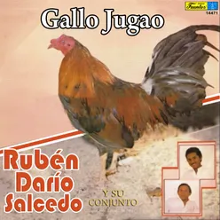 Gallo Jugao