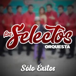 Orquesta los Selectos, Sólo Éxitos