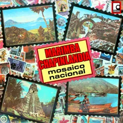 Mosaico Nacional