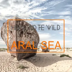 Aral Sea