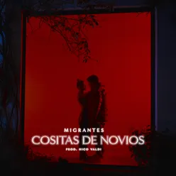 Cositas de Novios