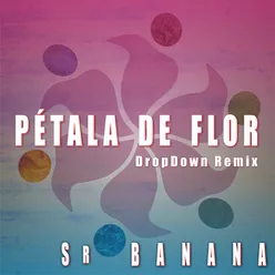 Pétala de Flor Dropdown Remix