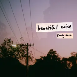 Beautiful Noise