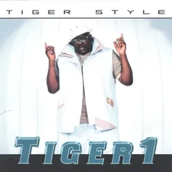 Tiger Style