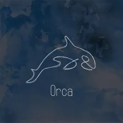 Orca