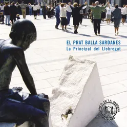 Els Amics d'El Prat