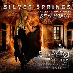 Silver Springs (Live)