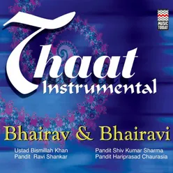 Thaat Instrumental - Bhairav & Bhairavi