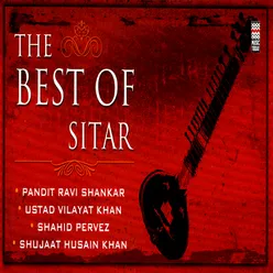 The Best Of Sitar Vol. 1