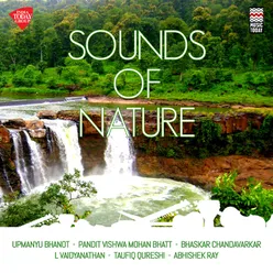 Sounds of Nature