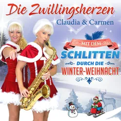 Mit dem Schlitten durch die WinterWeihnacht