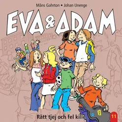 Rätt tjej och fel kille - Vol. 11