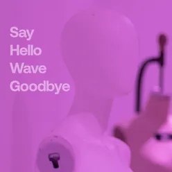 Say Hello, Wave Goodbye