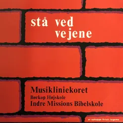 Stå ved vejene