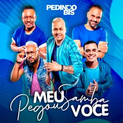 Meu Samba Pegou Você Ao Vivo