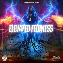 Elevated Feloness