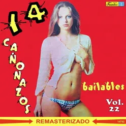 14 Cañonazos Bailables, Vol. 22