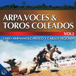 Arpa, Voces & Toros Coleados, Vol. 2
