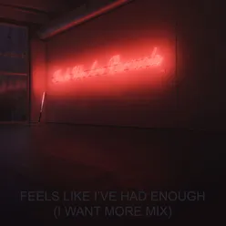 Feels Like I've Had Enough (I Want More Mix)