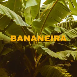 Bananeira