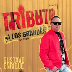 Tributo a los Grandes en Vivo