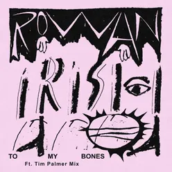 Irish to My Bones Tim Palmer Mix