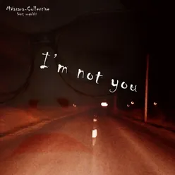 I'm Not You Radio Edit