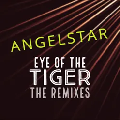 Eye of the Tiger Radio Edit