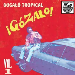 ¡Gózalo! Bugalú Tropical, Vol. 1