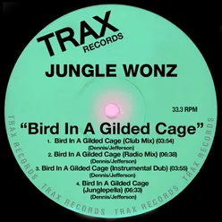 Bird in a Gilded Cage Radio Mix