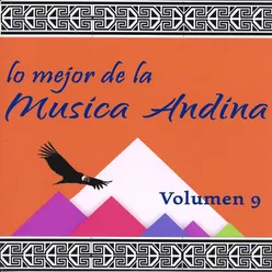 Lo Mejor de la Musica Andina, Vol. 9