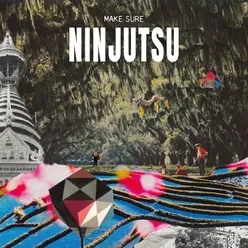 Ninjutsu Deluxe Edition