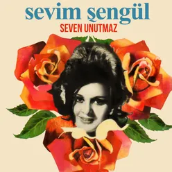 Seven Unutmaz