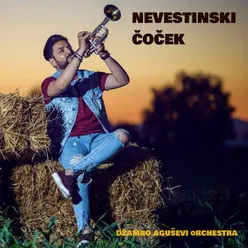 Nevestinski Čoček