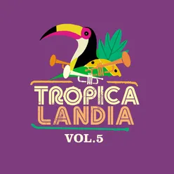 Tropicalandia, Vol. 5 Radio Edit