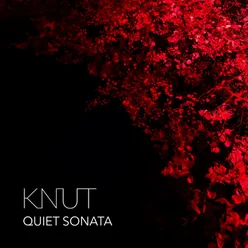 Quiet Sonata