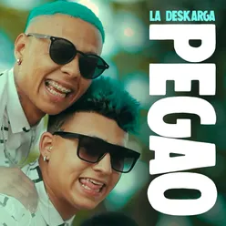 Pegao