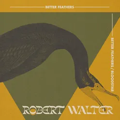 Better Feathers (feat. Stanton Moore)