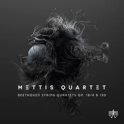 String Quartet No. 4 in C Minor, Op. 18, No. 4: III. Minuet. Allegretto