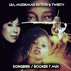 Songbird Booker T Kings of Soul Satta Lick