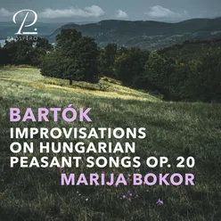 Improvisations on Hungarian Peasant Songs, Op. 20, Sz. 74: V. Allegro molto