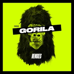 Gorila FERMIN & LAMADRID Remix