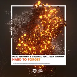 Hard to Forget (feat. Julia Viktoria)