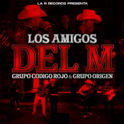 Los Amigos del M En Vivo