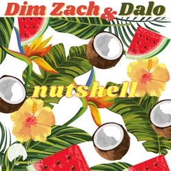Nutshell Dim Zach Mix