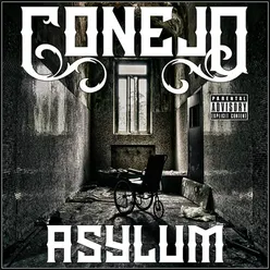 Asylum