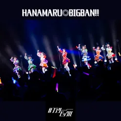 HANAMARU◎BIGBAN!!