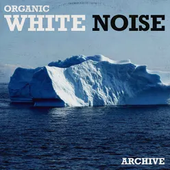 Pure White Noise